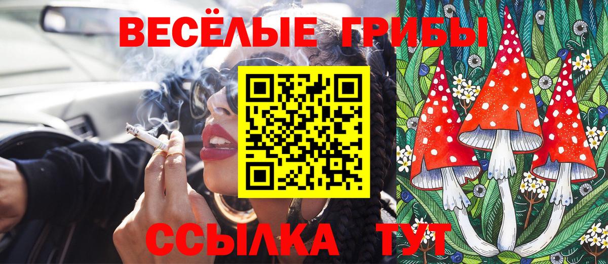 Муравленко  Галлюциногенные грибы GOLDEN TEACHER  Псилоцибиновые грибы мухоморы  Вход с VPN 