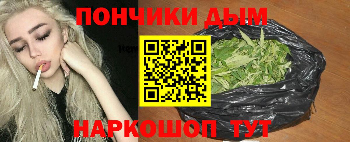 Каннабис планчик Муравленко